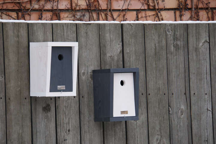 PATKAR Nistkasten Kiefernholz